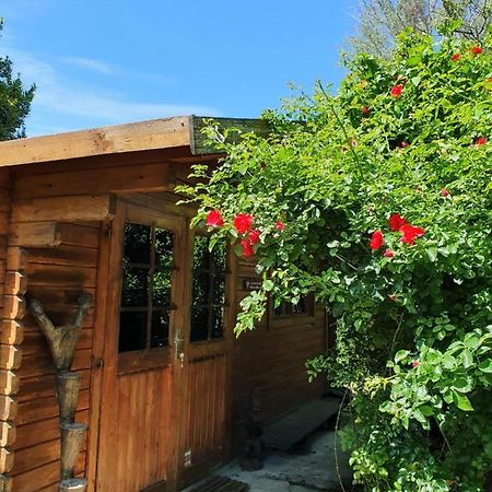 La Cabane Du Pesquier En Provence Caumont-sur-Durance ภายนอก รูปภาพ