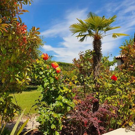 La Cabane Du Pesquier En Provence Caumont-sur-Durance ภายนอก รูปภาพ